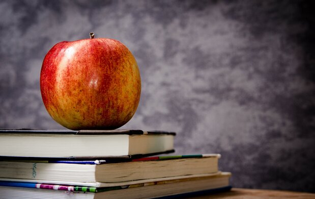 Software-Update bringt neues Kurs-Auswahlverfahren