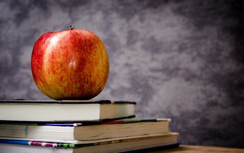 Software-Update bringt neues Kurs-Auswahlverfahren