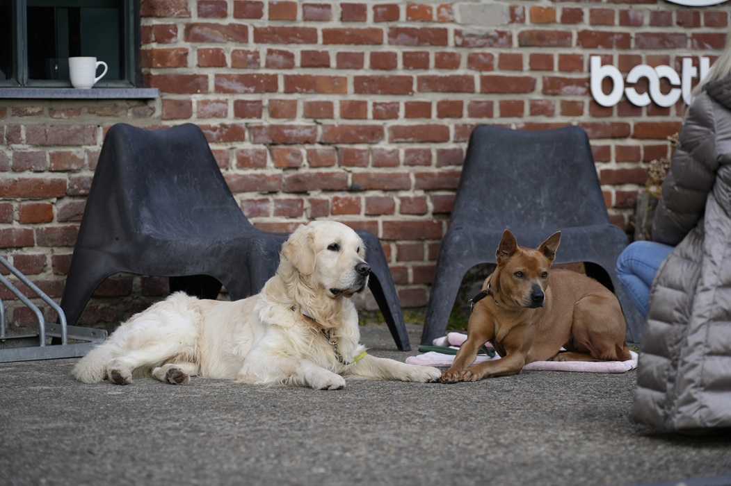 Tricept-Firmenveranstaltung auf der MS Anesha: Drei Tage voller Teamgeist, Austausch und Spirit